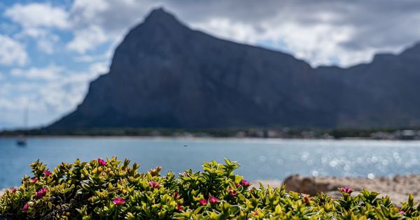 elezioni amministrative san vito lo capo - no marine resort